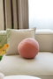 Aberto Design Teddy Top 25 - Rosa